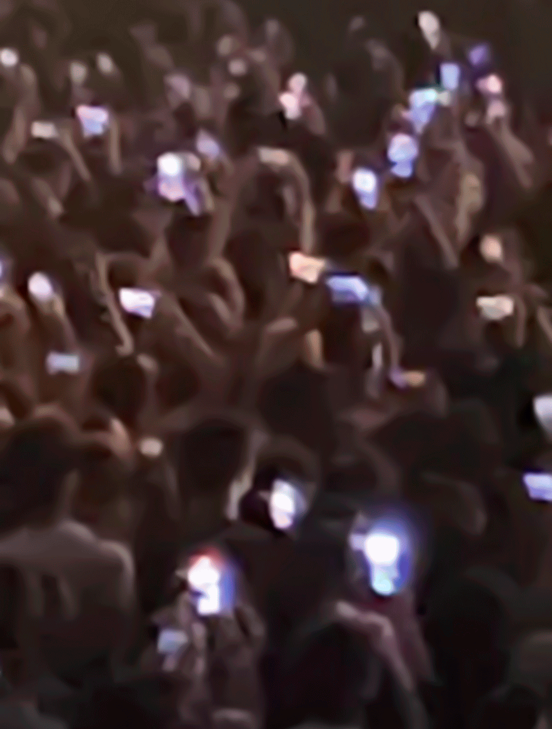 Beyond the frame GIF final