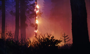 6 B1 C63 D9 B068 4744 A17 C 27 B38 B4 F7 C6 D