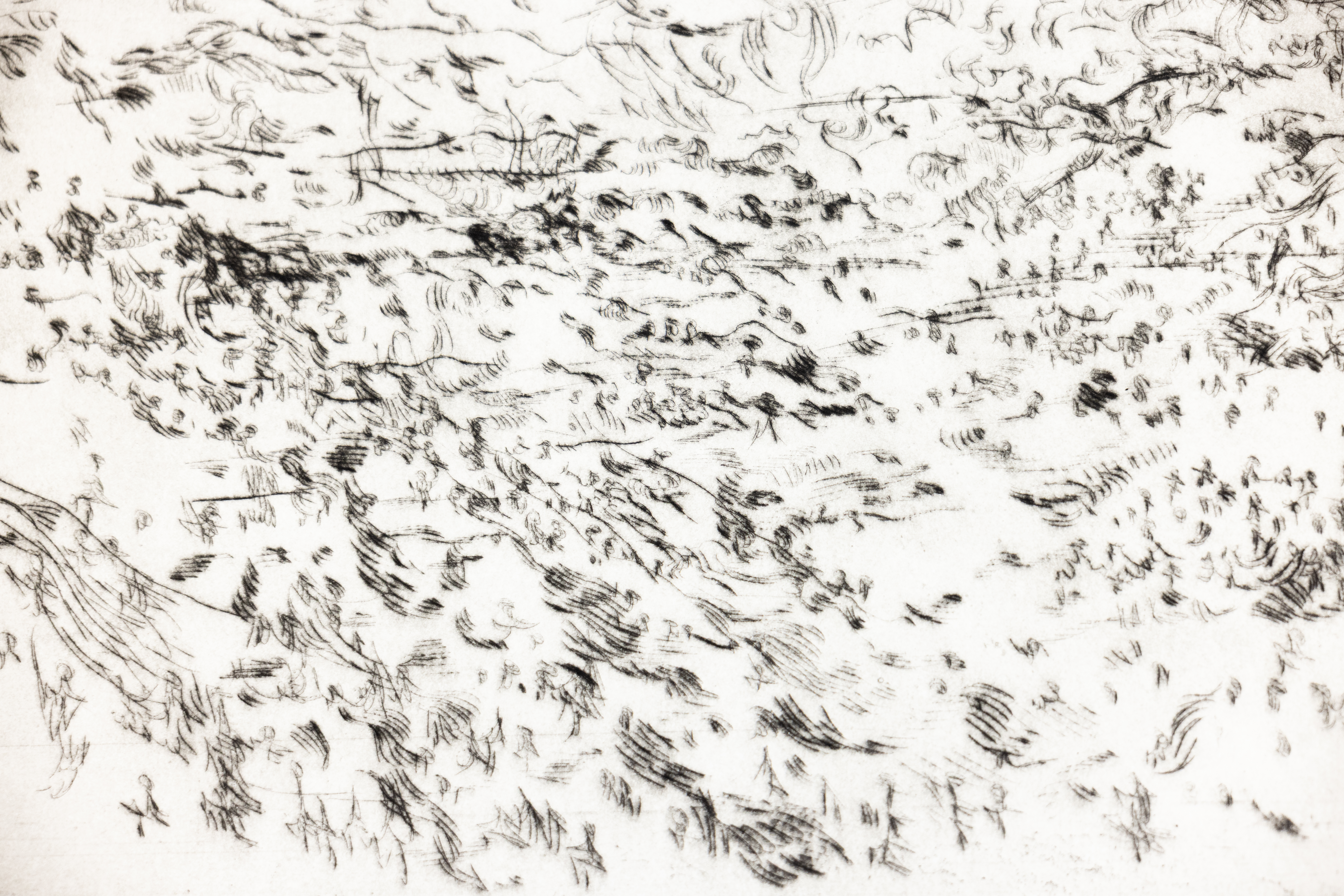 Ann Kipling Prints 002 2025 12 03