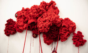 Malina Sintnicolaas 022 ECU 2019 11 10