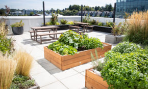 Wellness Garden Header